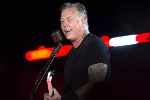 James Hetfield (2014)