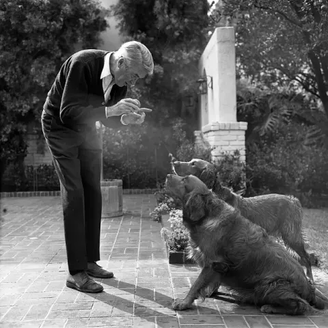 James Stewart (1970)