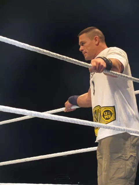 John Cena (2013)