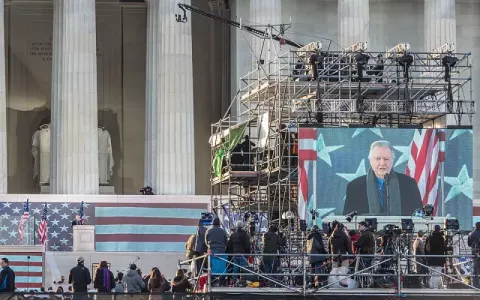 Jon Voight (2017)