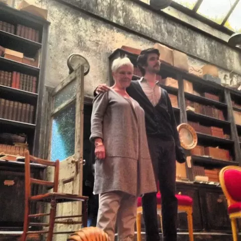 Judi Dench (2013)