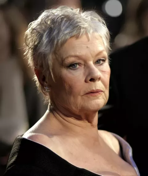 Judi Dench at the BAFTAs at the Royal Opera House in London (2007)