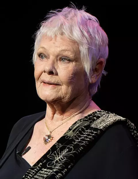 Judi Dench (2023)