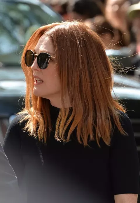 Julianne Moore (2017)