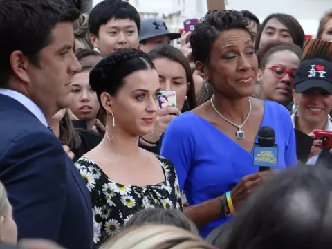 Katy Perry (2013)