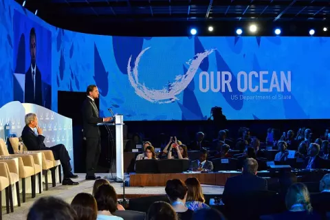 Leonardo DiCaprio (2016)