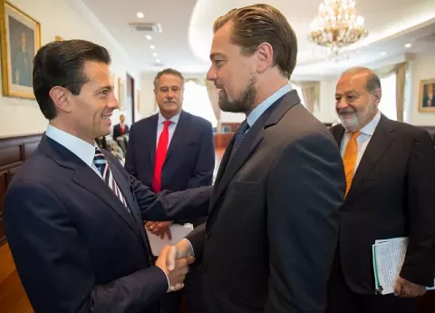 Leonardo DiCaprio (2017)
