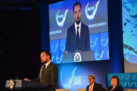 Leonardo DiCaprio (2014)