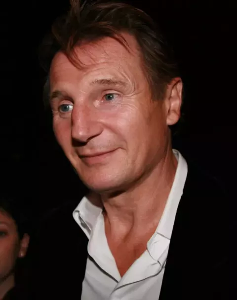 Liam Neeson at the TIFF premiere of The Other Man (2008)