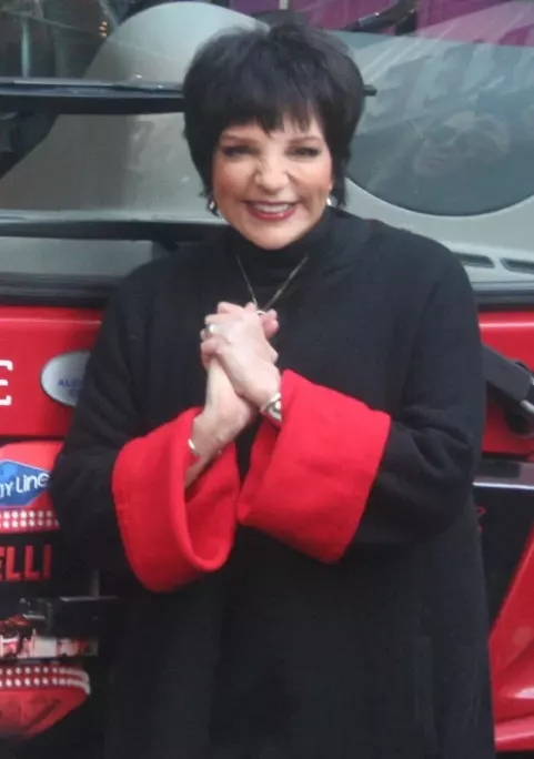 Liza Minnelli (2011)