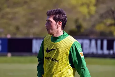 Mesut Özil (2010)