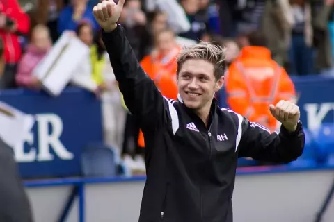 Niall Horan (2014)