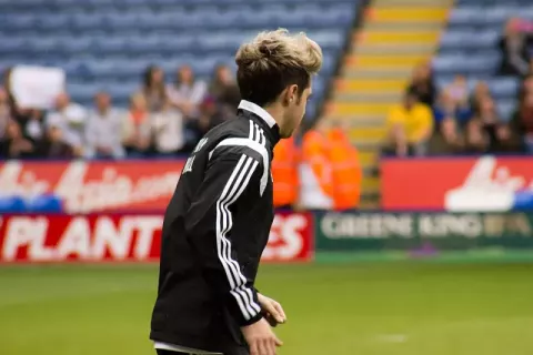 Niall Horan (2014)