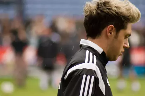 Niall Horan (2014)