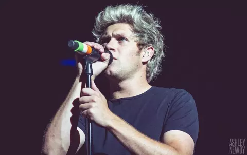 Niall Horan (2015)