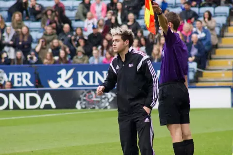 Niall Horan (2014)