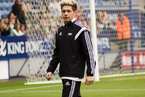 Niall Horan (2014)