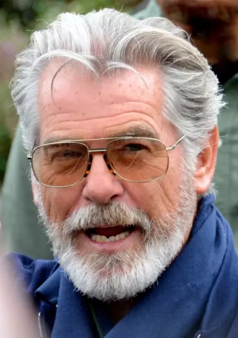 Pierce Brosnan (2019)