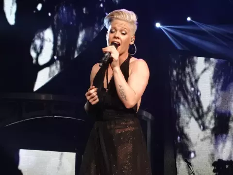 Pink (2013)