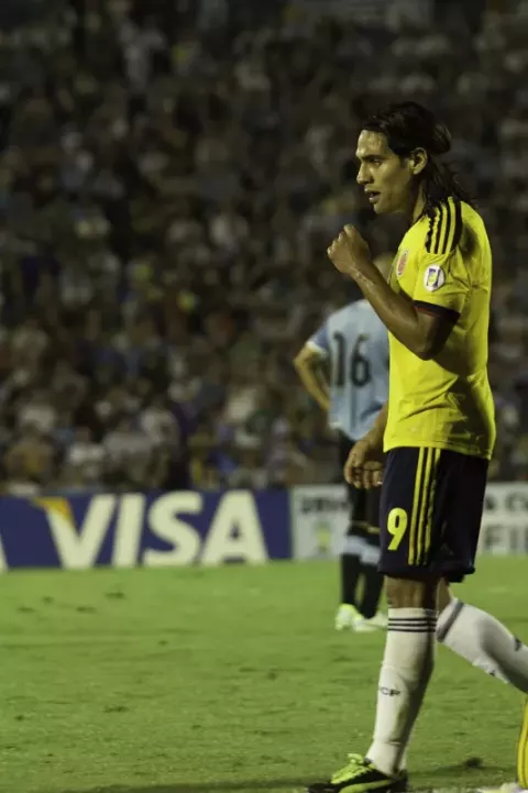 Radamel Falcao (2013)