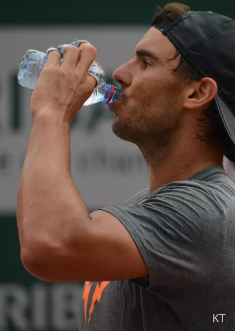 Rafael Nadal (2017)