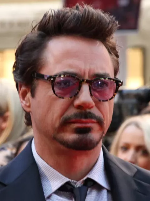 Robert Downey Jr. (2012)