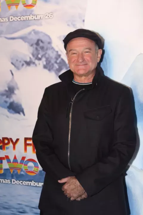 Robin Williams (2011)