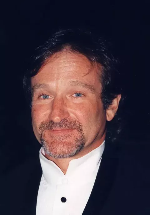 Robin Williams (2010)