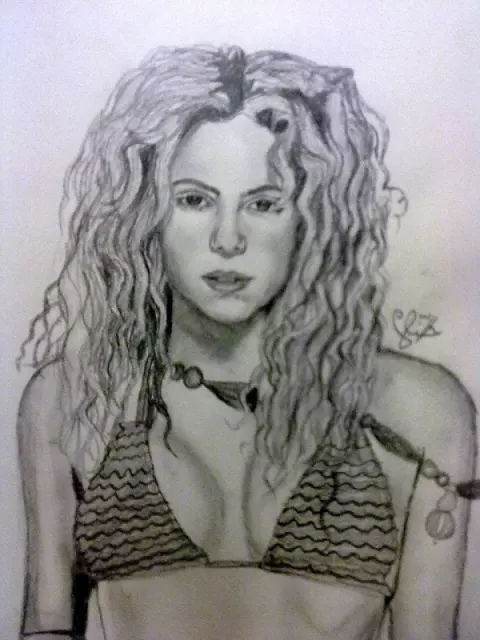 Shakira (2002)