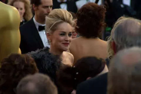 Sharon Stone at the 83rd Academy Awards (2011)