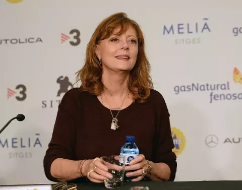 Susan Sarandon (2017)