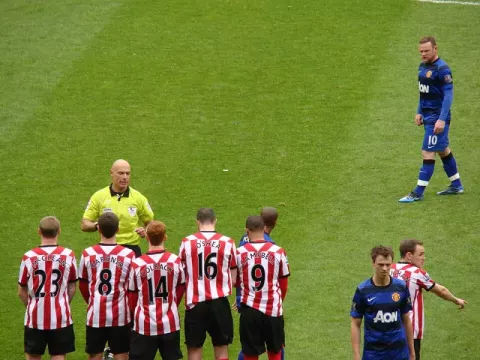Wayne Rooney (2012)