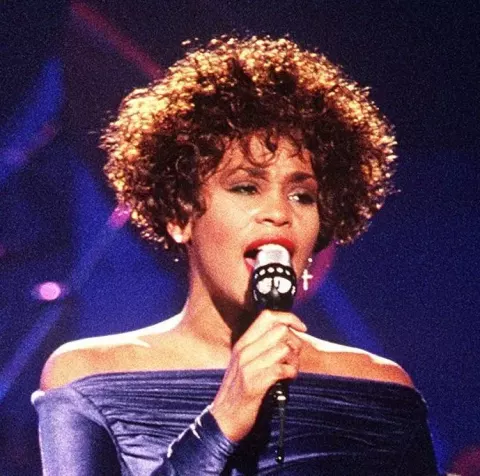 Whitney Houston (1991)
