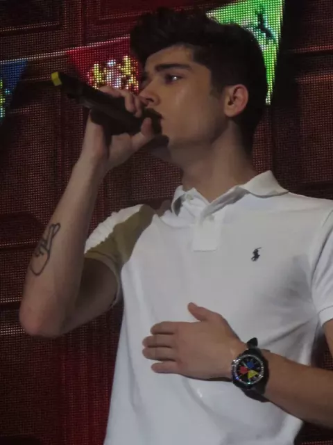 Zayn Malik (2012)