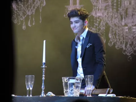 Zayn Malik (2012)
