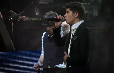 Zayn Malik (2012)