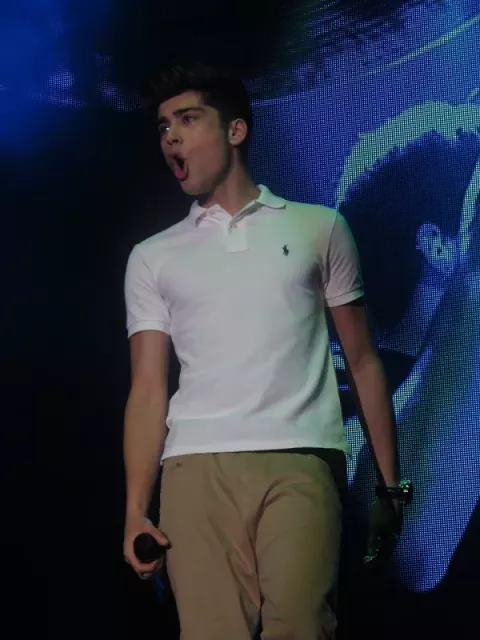 Zayn Malik (2012)