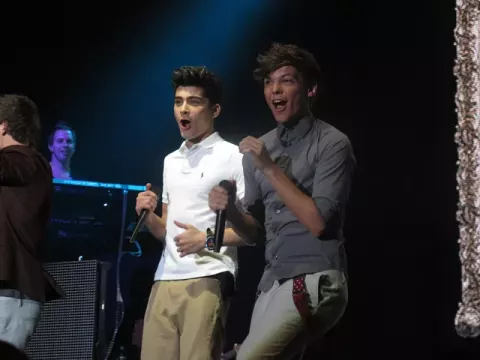 Zayn Malik (2012)
