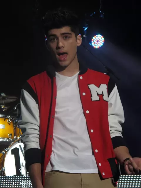 Zayn Malik (2012)