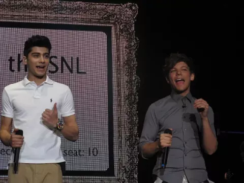 Zayn Malik (2012)