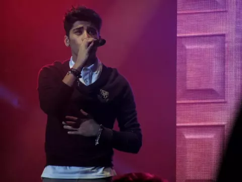 Zayn Malik (2012)