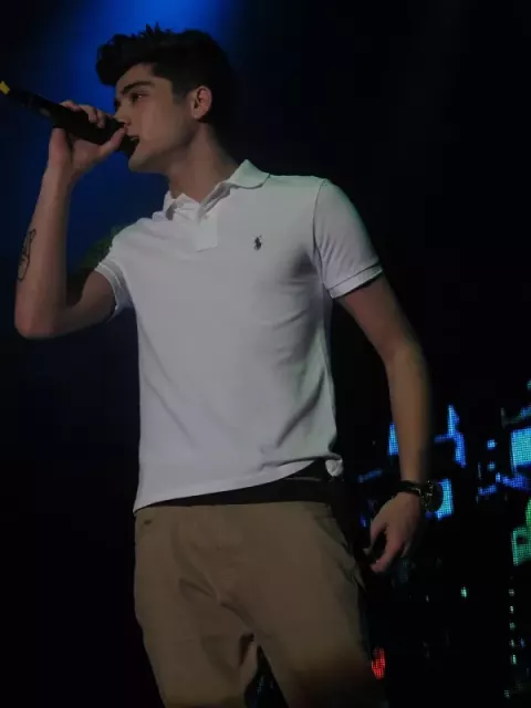 Zayn Malik (2012)