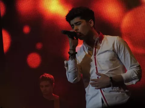 Zayn Malik (2012)