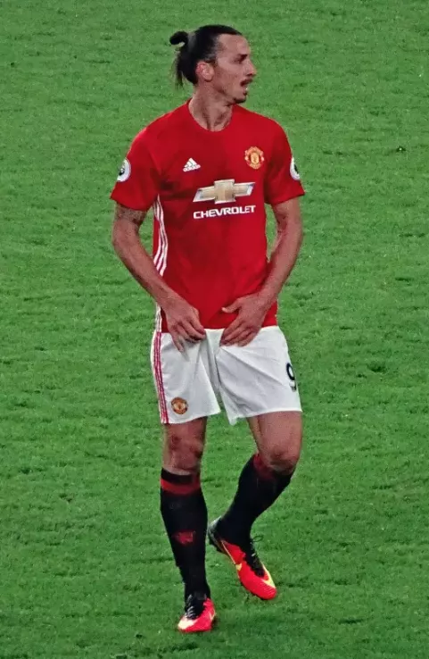 Zlatan Ibrahimović (2016)
