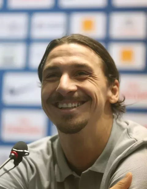 Zlatan Ibrahimović (2013)