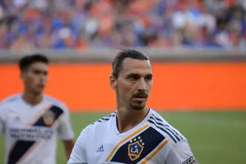 Zlatan Ibrahimović (2019)