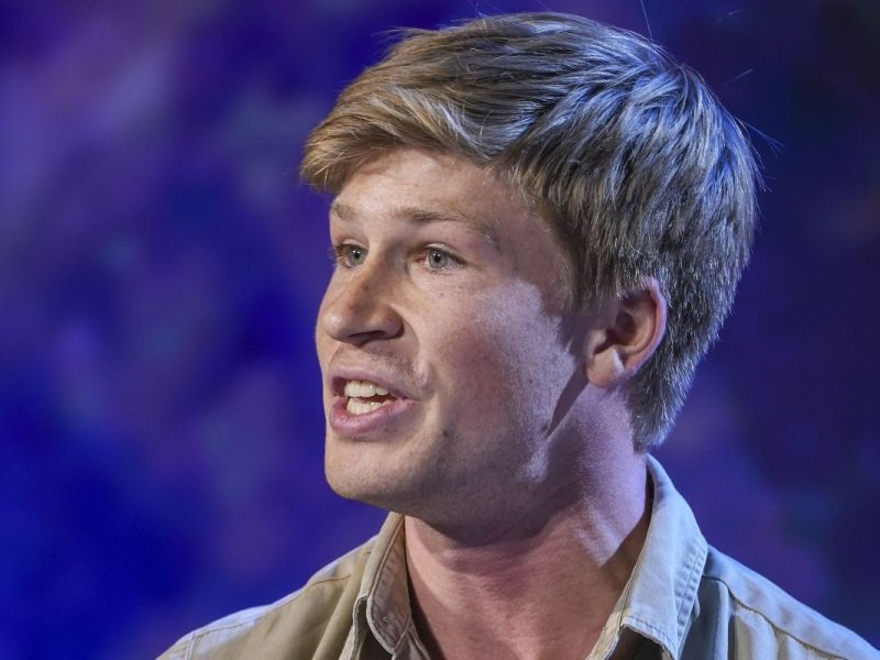 Robert Irwin