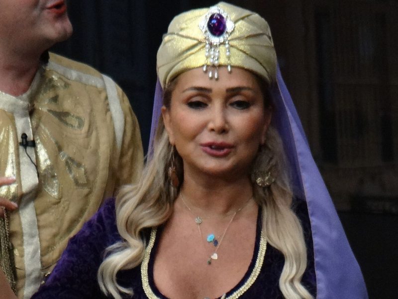 Yonca Evcimik