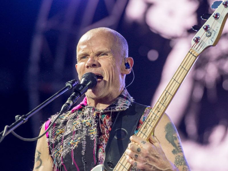 Flea
