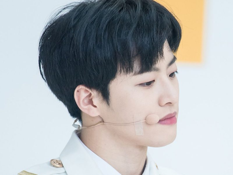 Feeldog